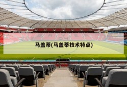 马盖蒂(马盖蒂技术特点)