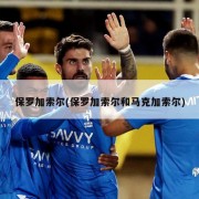 保罗加索尔(保罗加索尔和马克加索尔)