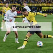 足球平台(足球平台登三出租)