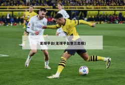 足球平台(足球平台登三出租)