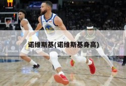 诺维斯基(诺维斯基身高)