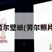 劳尔壁纸(劳尔照片)
