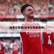 加索尔臂展(加索尔臂展视频)