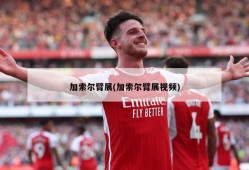 加索尔臂展(加索尔臂展视频)