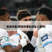 贾森特里(贾森特里能进名人堂吗)