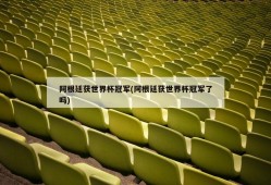 阿根廷获世界杯冠军(阿根廷获世界杯冠军了吗)