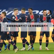 足球场地标准尺寸(7 1足球场地标准尺寸)