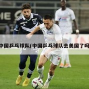 中国乒乓球队(中国乒乓球队去美国了吗)