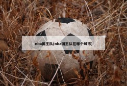nba国王队(nba国王队在哪个城市)