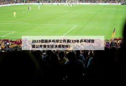 2019德国乒乓球公开赛(19年乒乓球德国公开赛女团决赛视频)