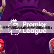 世界杯彩票怎么玩(世界杯彩票在哪里)