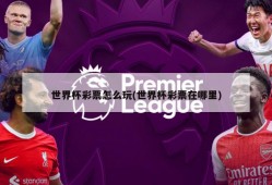 世界杯彩票怎么玩(世界杯彩票在哪里)