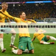 世界杯精彩进球集锦(世界杯精彩进球集锦视频)