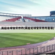 英超足球宝贝乔丹(英超足球宝贝乔丹是谁)