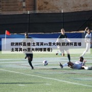 欧洲杯直播:土耳其vs意大利(欧洲杯直播土耳其vs意大利哪里看)