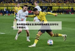 勒布朗詹姆斯名言(勒布朗詹姆斯名言你可以不够强大)