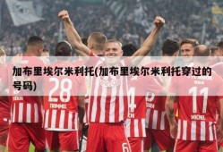 加布里埃尔米利托(加布里埃尔米利托穿过的号码)
