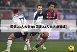 国足23人大名单(国足23人大名单确定)