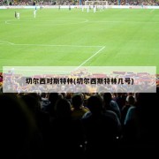 切尔西对斯特林(切尔西斯特林几号)