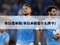 布拉德米勒(布拉米勒是什么牌子)