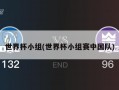世界杯小组(世界杯小组赛中国队)