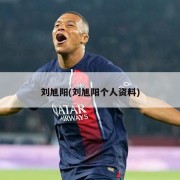 刘旭阳(刘旭阳个人资料)