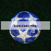 王治单(王治单辽宁男篮)