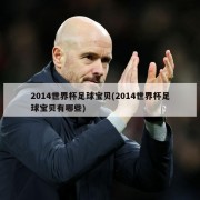 2014世界杯足球宝贝(2014世界杯足球宝贝有哪些)