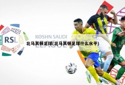 北马其顿足球(北马其顿足球什么水平)