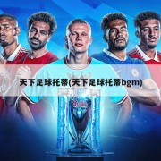 天下足球托蒂(天下足球托蒂bgm)