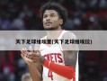 天下足球维埃里(天下足球维埃拉)