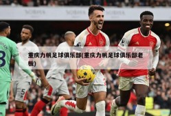 重庆力帆足球俱乐部(重庆力帆足球俱乐部老板)