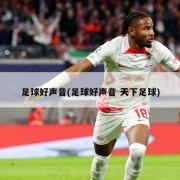 足球好声音(足球好声音 天下足球)