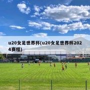 u20女足世界杯(u20女足世界杯2024赛程)