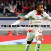 世界杯比赛视频(世界杯比赛视频下载网站)