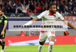 世界杯比赛视频(世界杯比赛视频下载网站)