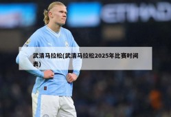 武清马拉松(武清马拉松2025年比赛时间表)