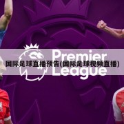 国际足球直播预告(国际足球视频直播)