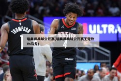 瑞典乒乓球公开赛(瑞典乒乓球公开赛王楚钦Vs马龙)