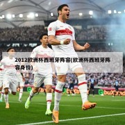 2012欧洲杯西班牙阵容(欧洲杯西班牙阵容身价)