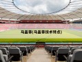 马盖蒂(马盖蒂技术特点)