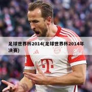足球世界杯2014(足球世界杯2014年决赛)