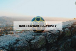 吉诺比利年薪(吉诺比利nba生涯总薪金)
