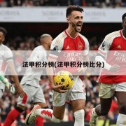法甲积分榜(法甲积分榜比分)