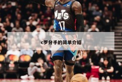 c罗分手的简单介绍
