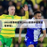 2022世界杯冠军(2022世界杯冠军亚军季军)