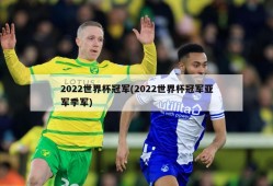 2022世界杯冠军(2022世界杯冠军亚军季军)