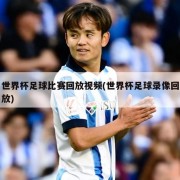 世界杯足球比赛回放视频(世界杯足球录像回放)
