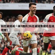 科比被烧成一米5图片(科比被烧焦图片在线观看)