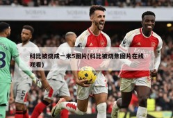科比被烧成一米5图片(科比被烧焦图片在线观看)